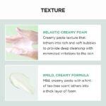 SKIN1004 Madagascar Centella Tea-Trica Bha Foam 125ml - Image 4