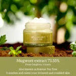 Im From mugwort cream 50 gm - Image 2
