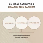 SKIN1004 Madagascar Centella Probio Cica Intensive Ampoule 95ml - Image 2