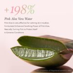 APRIL SKIN PINK ALOE PACK CLEANSER 120g - Image 4