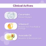 The Derma Co 1% Ceramide Complex Lip Balm 4g